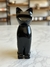 Gato Onix Negro en internet