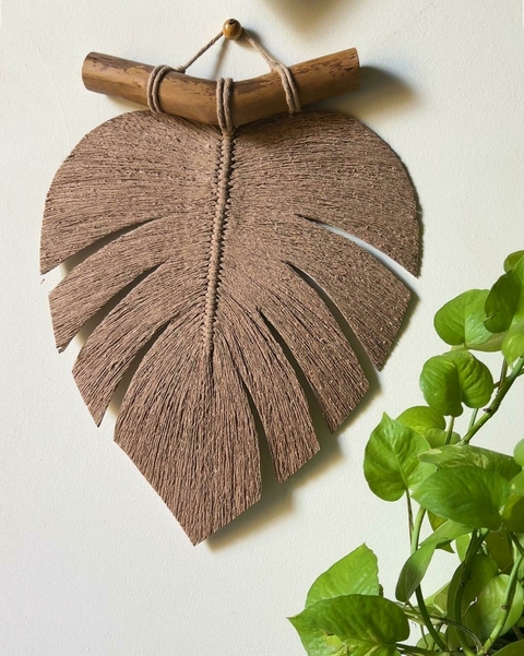 Folha Adônis individual