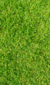 Deportivo