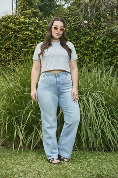 JEANS WIDE LEG SUIZA PLUS SIZE - comprar online