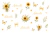 Naninha - Girassol 0146 - comprar online