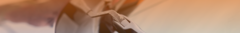 Banner da categoria Para-Brisas
