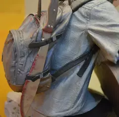 The Last of Us Part II, Produtos Estáticos, Circundant na internet