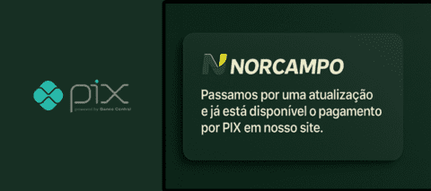 Carrossel 1