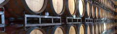 Banner de la categoría VARIETAL 