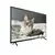 Tv Smart 32 Polegadas Universal Uhd 4k Televisão Doméstica Tv Solar Smart Tv d - EDUARDO ULTILIDADES