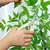 Poda profissional tesoura de jardim, jardinagem ao ar livre, ramo de flores, Byp - comprar online