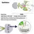 Cogumelo-como lâmpada de noite led, plug-in, 3-led, 7 núcleos, europeu e EUA,