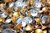 Imagem do Cortador de vidro profissional, bússola circular, porcelana, telha manual, cort