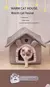 Casa para cães e gatos, quente, lavável, para todas as estações, interior, m na internet