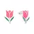 Pasantes de Tulipán - comprar online