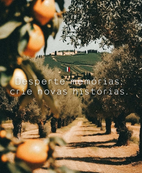 Carrossel 1