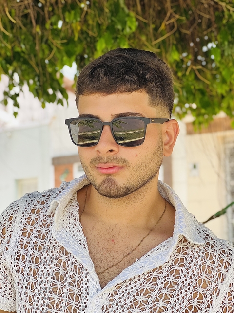 Óculos de Sol Apollo - comprar online