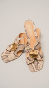 TAMANCO SALTO BLOCO ANIMAL PRINT SNAKE