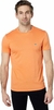 Camiseta Lacoste Masculina Classic Pima Cotton