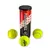 Pelota de Tenis x3 unidades 7x21cm estuche