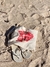 Salvador, bahia s2 - A Sua EcoBag