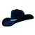 Chapéu Country Americano Bandinha Premium na internet