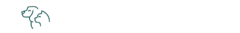 Banner da categoria Pets