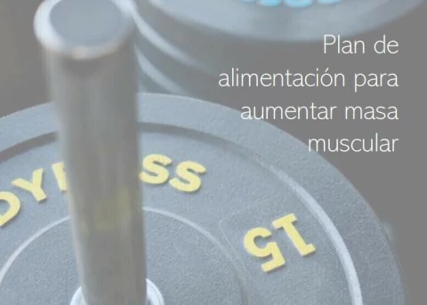 Plan general aumento de masa muscular