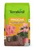 Pinocha 20 L Terrafertil