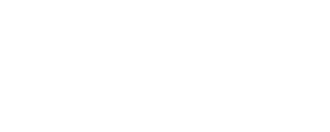 Olichka Shoes