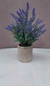 PLANTA DECO LAVANDA
