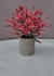 PLANTA DECO ARCE ROJO