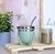 MATE RAICES VERDE CON BOMBILLA - comprar online