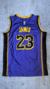 Camiseta Nike Lakers "JAMES" 23 | 2X1 - Wellfitt
