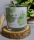 Musgo de Carvalho - Garden Collection