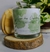 Casa das Orquídeas - Garden Collection - comprar online