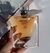 Lá vie est belle 80ml Brand