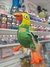 Loro Pepe