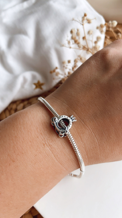 CHARM CARROZA PANDO - comprar online