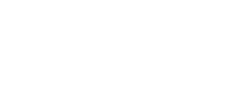Carla Faria Concept