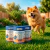Kit 3 Suplementos Vitamínico para Cães Nutri & Brilho - comprar online