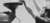 Imagem do banner rotativo RōR Coffee Roaster
