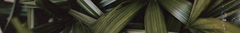 Banner de la categoría Bienestar