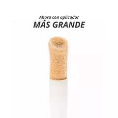 corrector anik en internet