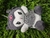 Pelúcias Sanrio na internet