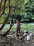 Isla turquoise bikini - comprar online