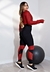 Calça Legging + Cropped de Telinha Manga Longa com Detalhes em Terra Cota Conjunto Fitness | REF: LX147 - comprar online