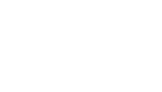 Bossa Studios