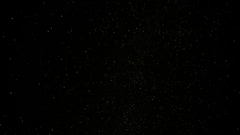 Banner de la categoría Star Nutrition