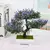 Imagem do Plantas artificiais bonsai pequeno