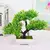 Imagem do Plantas artificiais bonsai pequeno