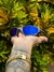 OAKLEY JULIET