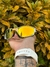 OAKLEY DOUBLE-X