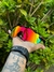 OAKLEY RADAR UNISSEX - comprar online
